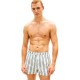 бански,гащета,мъжки,бански,костюми,tommy,hilfiger,um0um03742,swimming,shorts,white,(deck,chair,stripe,minty,grey)