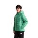 яке,мъжки,якета,дамски,якета,и,палта,the,north,face,reversible,perrito,jacket,green,(dimmed,algae)