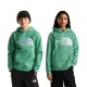 суичър,детски,блузи,the,north,face,essential,drew,peak,hoodie,green,(dimmed,algae)
