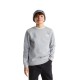 блуза,детски,блузи,the,north,face,evolution,box,nse,sweatshirt,grey,(tnf,pale,grey,heather)