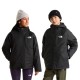 яке,мъжки,якета,дамски,якета,и,палта,the,north,face,perrito,4in1,jacket,black,(tnf,black)