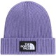 шапка,всички,шапки,the,north,face,tnf,logo,box,cuffed,beanie,purple,(grounded,plum)