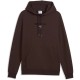 суичър,мъжки,пуловери,puma,class,graphic,hoodie,brown,(chocolate,fondue)
