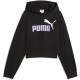 суичър,детски,блузи,puma,essential,2,color,nº1,logo,short,length,hoodie,black,(puma,black,light,lavender)