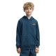 суичър,детски,блузи,puma,essential,logo,lab,brand,back,graphic,hoodie,blue,(midnight,petrol)