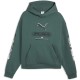 суичър,мъжки,пуловери,puma,sport,street,boxy,graphic,hoodie,green,(herb,garden)