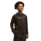 тениска,мъжки,тениски,дамски,тениски,puma,street,relaxed,long,sleeve,t,shirt,brown,(chocolate,fondue)