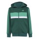 анцуг,детски,анцузи,adidas,seasonal,essentials,tiberio,3,stripes,fleece,tracksuit,green,(collegiate,green,court,green,white)