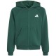 блуза,детски,блузи,adidas,seasonals,collegiate,typography,full,zip,sweatshirt,green,(collegiate,green,ivory)