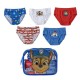 детско,бельо,paw,patrol,neceser,paw,patrol,slips,multicolor,(multicolor)