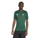 тениска,мъжки,тениски,дамски,тениски,adidas,fifa®,world,cup,2026,mexico,jersey,short,sleeve,t,shirt,green,(team,dark,green)