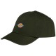 шапка,всички,шапки,dickies,hardwick,cap,green,(deep,depths)