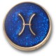обувни,аксесоари,jibbitz,gold,pisces,charm,golden