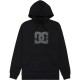 суичър,мъжки,пуловери,dc,shoes,strass,star,ph,hoodie,black,(black)