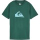 тениска,мъжки,тениски,дамски,тениски,quiksilver,evo,comp,logo,short,sleeve,t,shirt,green,(forest)