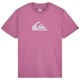тениска,мъжки,тениски,дамски,тениски,quiksilver,evo,comp,logo,short,sleeve,t,shirt,purple,pink,(grape,jam)