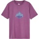 тениска,мъжки,тениски,дамски,тениски,quiksilver,flaming,short,sleeve,t,shirt,purple,(grape,jam)