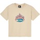 тениска,мъжки,тениски,дамски,тениски,quiksilver,trucks,short,sleeve,t,shirt,beige,(peyote)
