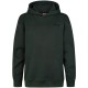 суичър,детски,блузи,petrol,industries,b,3060,swh397,hoodie,green,(deep,green)