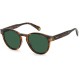 слънчеви,очила,слънчеви,очила,polaroid,eyewear,pld6175s086uc,51,19,145,polarized,sunglasses,brown,(brown,havana,green)