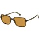 слънчеви,очила,слънчеви,очила,polaroid,eyewear,pld6247s09q,56,18,145,polarized,sunglasses,brown,(brown,brown)