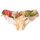 дамско,бельо,дамски,бикини,и,танкини,dolce,&,gabbana,747421,panties,multicolor,(beige)