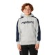 суичър,детски,блузи,rip,curl,archive,panel,hoodie,grey,(grey,marle)