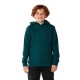 суичър,детски,блузи,rip,curl,search,icon,hoodie,green,(blue,green)