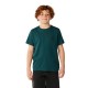 тениска,мъжки,тениски,дамски,тениски,rip,curl,search,icon,short,sleeve,t,shirt,green,(blue,green)