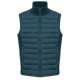 елек,мъжки,жилетки,colmar,11000013,vest,blue,(seaweed,navy)