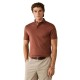 дамски,блузи,с,яка,мъжки,блузи,с,яка,hackett,hm5600288,short,sleeve,polo,brown,(cognac,brown)