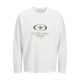 тениска,мъжки,тениски,дамски,тениски,jack,&,jones,barron,print,long,sleeve,t,shirt,white,(bright,white)