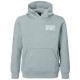 суичър,детски,блузи,scott,logo,hoodie,blue,(mist,blue)