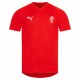 облекла,за,хандбал,dänemark,puma,handball,herren,trikot