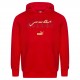 мъжки,суичър,egypt,puma,ftblculture,hood,men,hoodie