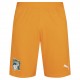 мъжки,къси,панталони,мъжки,къси,панталони,ivory,coast,puma,men,shorts