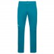 jack,wolfskin,morobbia,pants,men,hiking,pants