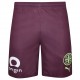 мъжки,къси,панталони,melbourne,city,fc,puma,men,alternative,short