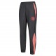 мъжки,анцуг,manchester,city,f.c.,puma,men,presentation,tracksuit,pants