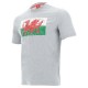 мъжка,тениска,мъжки,тениски,wales,wru,macron,rugby,men,t,shirt