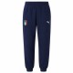 italy,figc,puma,casual,performance,women,pants