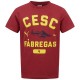 детска,тениска,детски,тениски,puma,x,cesc,fabregas,kids,t,shirt
