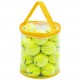 jelex,tiebreak,tennis,balls,set,24,pieces,incl.,bag