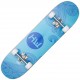 hidetoshi,wakashima,minami,7.875,skateboard